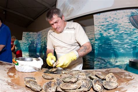 The Bluff Oyster and Food Festival – Bluff