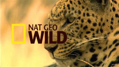 Nat Geo Wild - siedcom