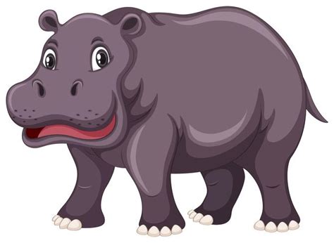 Cute hippo on white background 295822 Vector Art at Vecteezy