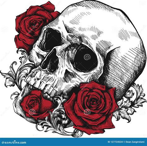 A Human Skull with Roses on White Background Stock Vector ...