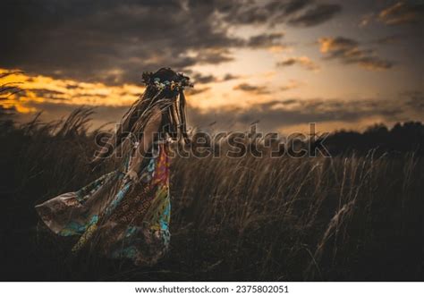 11,835 Tall Grass Field Sunset Images, Stock Photos, 3D objects ...