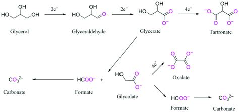 Plausible reaction mechanism and reaction intermediates for glycerol ...