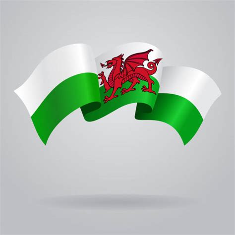 Welsh flag vector