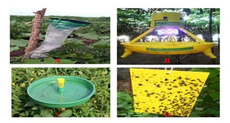 Figure showing types of insect traps: A. Pheremone trap, B:Light trap ...