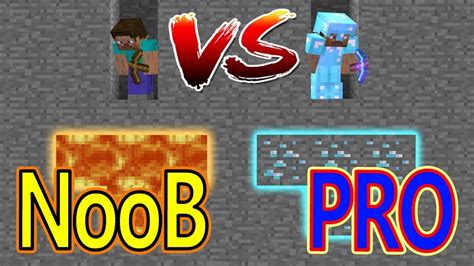 Noob Vs Pro