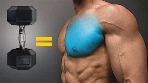 The BEST Dumbbell Exercises - CHEST EDITION! - Fitness Armies