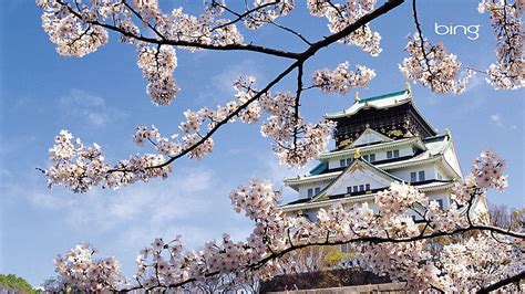 Spring, cherry, blossom, palace, japan, Japan Cherry Blossom Tree HD ...