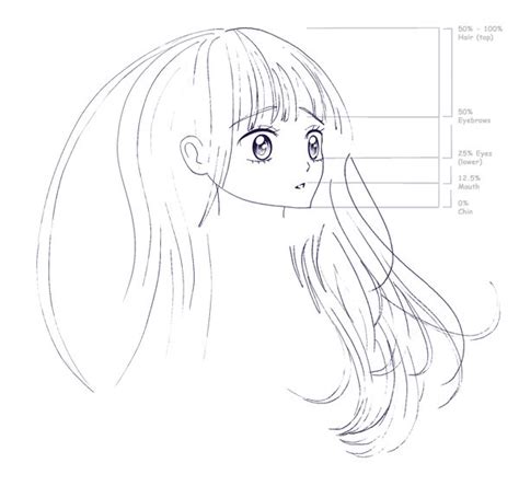 Ideal Anime Face Proportions 01 by Aurora-Fairy on DeviantArt