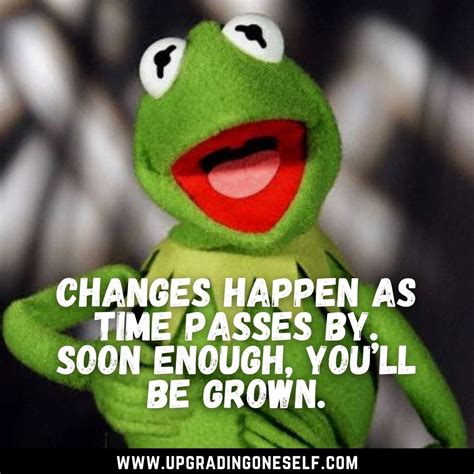 Top 15 Best Inspirational Quotes From Kermit the Frog