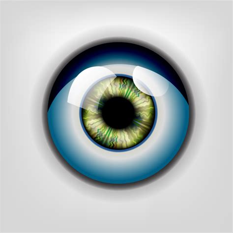 Eyes realistic vectors free download 2,301 editable .ai .eps .svg .cdr ...