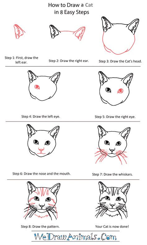 How to Draw a Cat Head