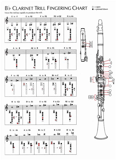 b flat clarinet chromatic scale finger chart Clarinet chart fingerings ...