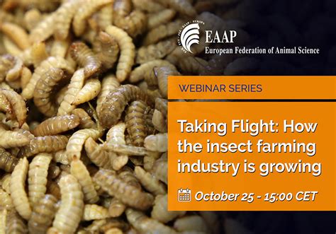 Taking Flight: How the insect farming industry is growing – EAAP Annual ...