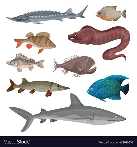 Flat set different predatory fishes Royalty Free Vector