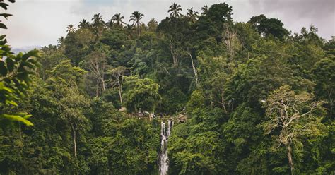 Unveiling Indonesia’s Hidden Gems: The Best Waterfalls That Will Leave ...