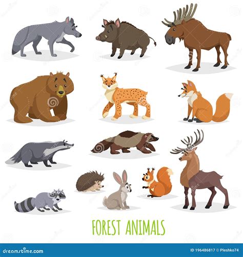 Set of Woodland and Forest Animals. Europe and North America Fauna ...