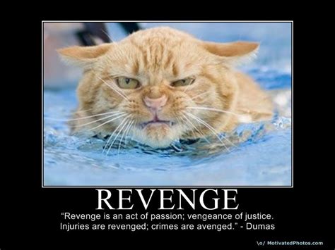 Funny Revenge Quotes Sayings. QuotesGram