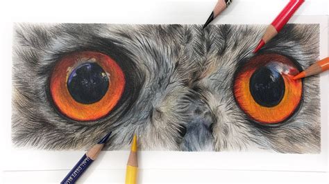 Owl Eyes Drawing | Video Bokep Ngentot