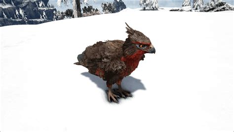 Ark Fjordhawk: Abilities, Taming, Food, Breeding, Drops & Location ...