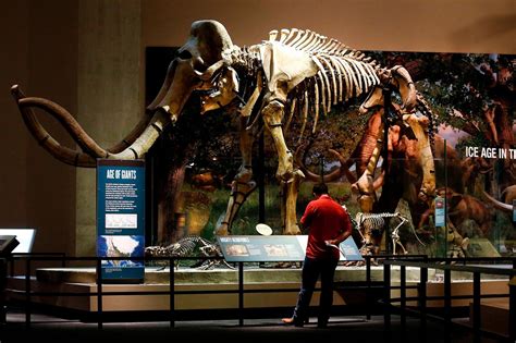 The Best Dinosaur Museums in the World | Reader's Digest