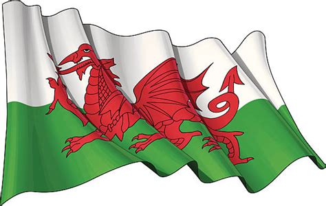 Royalty Free Welsh Flag Clip Art, Vector Images & Illustrations - iStock