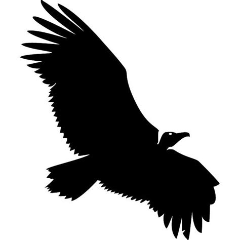 Vulture Silhouette Free Vector | Silhouette free, Vulture, Fly drawing