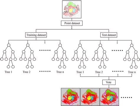 Training and classification of random forest classifier sketch in this ...