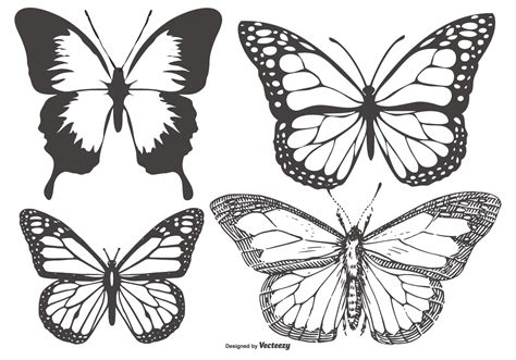 Vintage ButterflyMariposa Collection 147000 Vector Art at Vecteezy