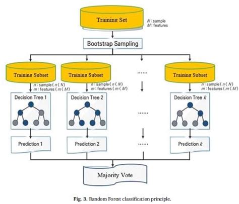 Random Forest classification principle. | Download Scientific Diagram