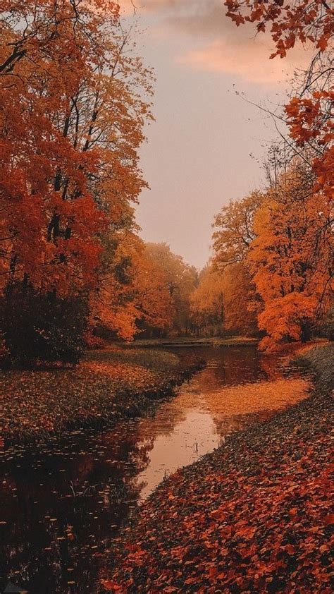 Aesthetic Autumn Wallpapers