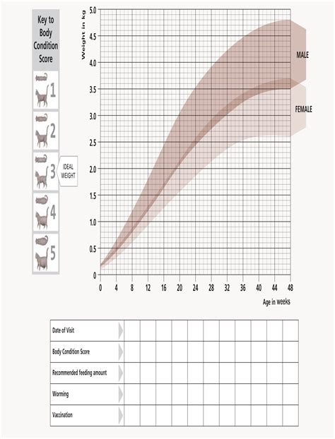 Printable Kitten Weight Chart