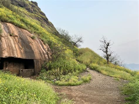 Rajmachi Fort Trek - A very doable single-day trek near to Mumbai ...