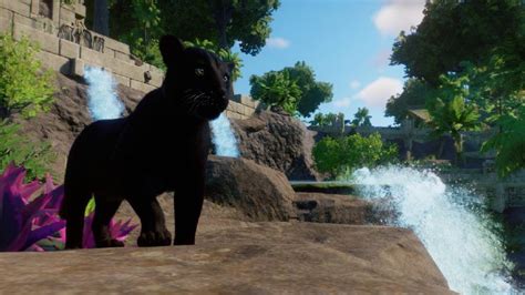 a black cat standing on top of a rock next to a waterfall in the forest