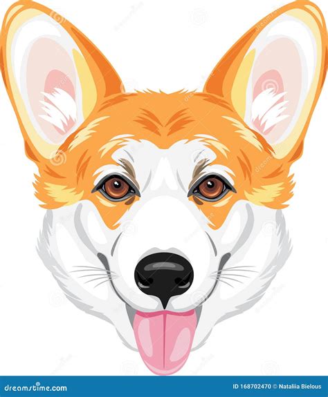 Portrait of a Happy Welsh Corgi Stock Vector - Illustration of ...