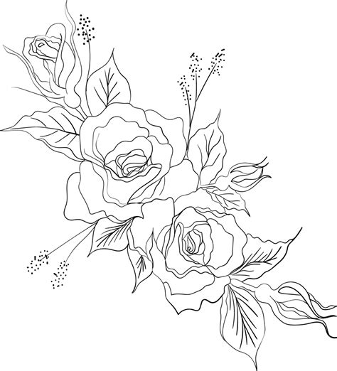 Wild Rose Flowers Drawing And Sketch With Line Art, Rose Drawing, Rose ...