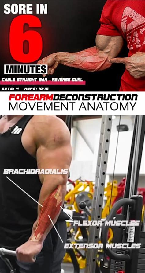 HOW TO FOREARM CURLS | VIDEO & GUIDE