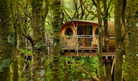 Treehouse Hotels Offer Childhood Fantasy with Adult Luxury