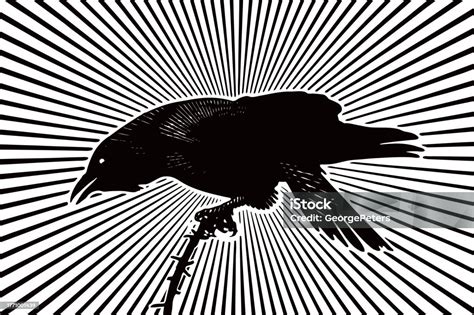 Raven Cawing Stock Illustration - Download Image Now - Aggression ...