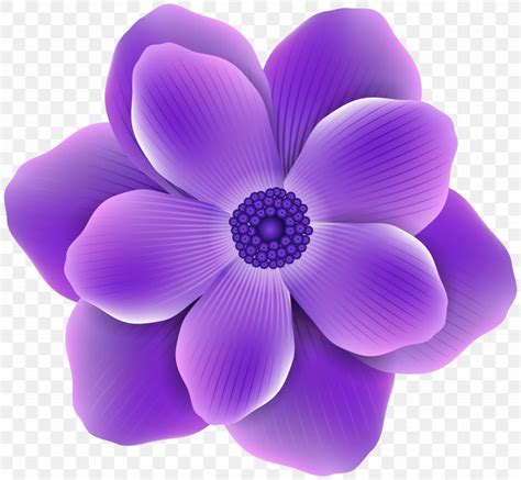 Purple Flower Clip Art, PNG, 5000x4619px, Flower, Anemone, Art, Color ...