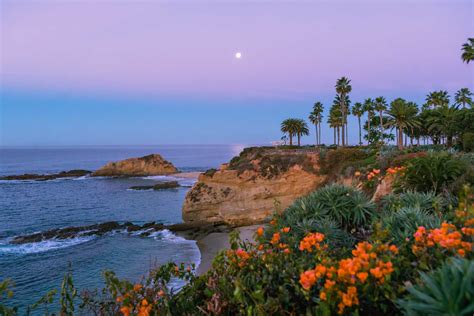 Coolest Things to Do in Laguna Beach, California - Bobo and ChiChi