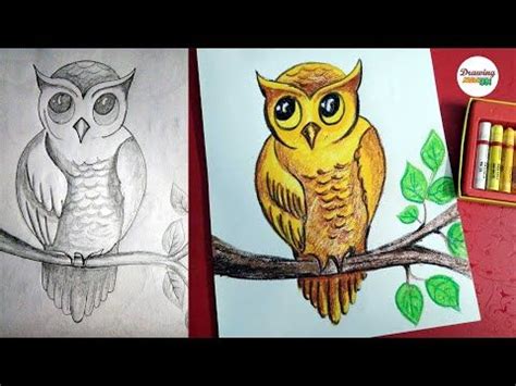 simple owl drawing with color - Tianna Corrigan