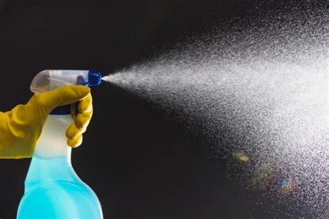 best-dust-mite-spray - Pest Hacks