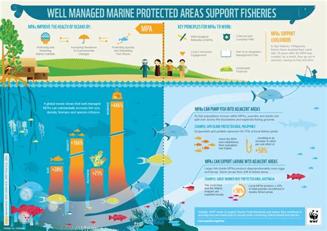 INFOGRAPHIC: How well managed marine protected areas support fisheries ...