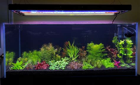 Diy led strips?? | The Planted Tank Forum