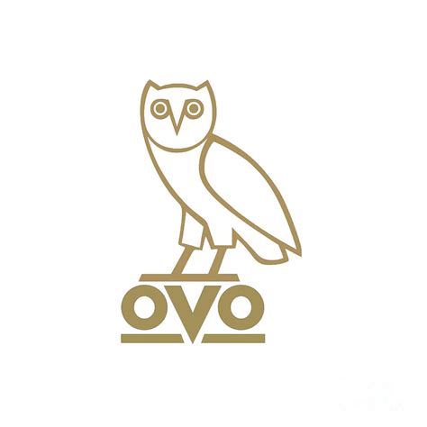 Drake Owl Logo