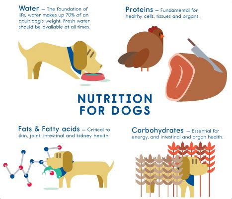 Dog Nutrition Centre