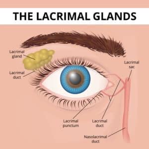 What are Tear Duct and Eye Socket Disorders? | Takle Eye Group