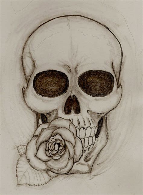 Skull With Roses Drawing at GetDrawings | Free download