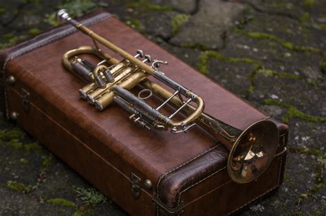 10 Best Trumpet Cases in The Market - Top Pick 2020