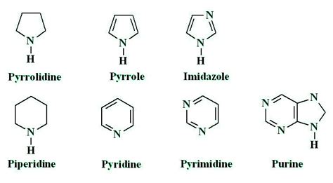 Nomenclature of Amines - GeeksforGeeks